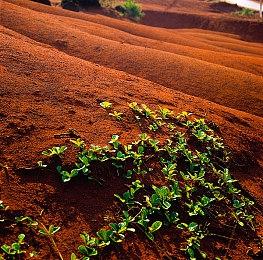 点击放置挂机游戏《舌尖游歌》Steam页面开放 发售日待定